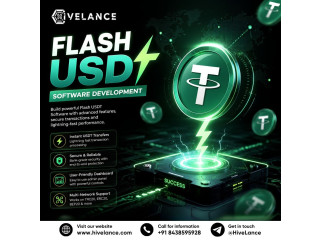 How Does Customized Flash USDT Software Development Support Business-Specific Requirements?