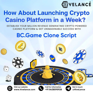 can-a-bcgame-clone-script-with-rtp-systems-boost-player-trust-big-0